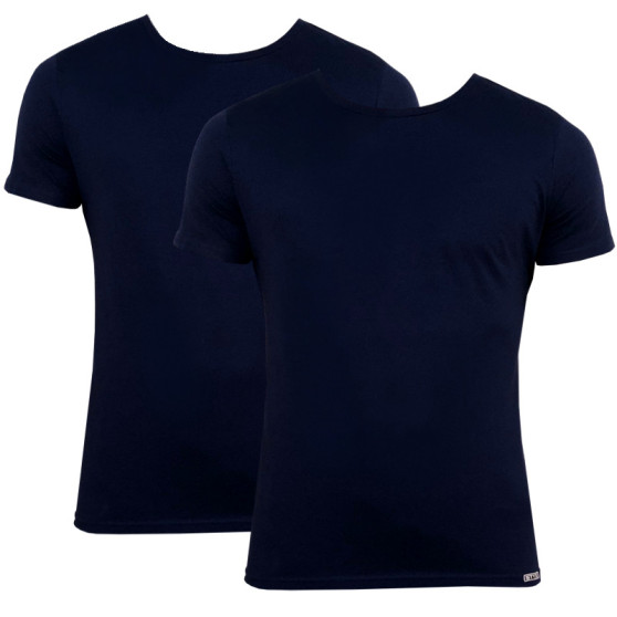 2PACK pánské tričko Styx modré (TR963)