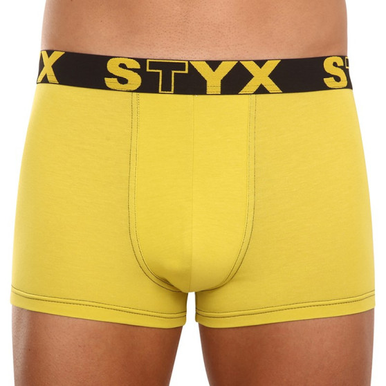 Pánské boxerky Styx sportovní guma zelenožluté (G1065)